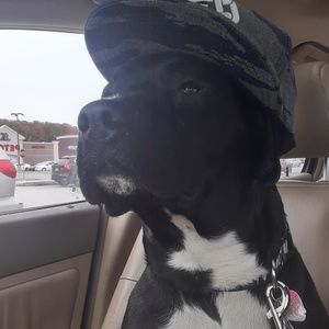 Meet your Posher, William